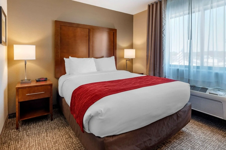 Standard Double room