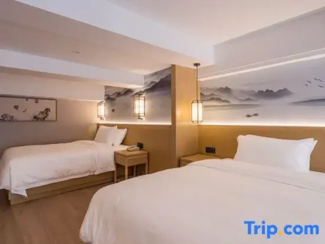 Standard Twin Duplex room
