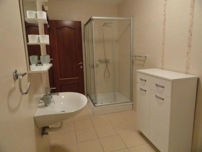 Luxury Apartment