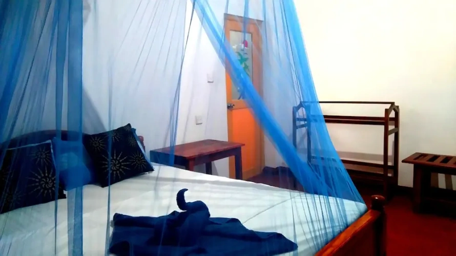Deluxe Double room with mountain view