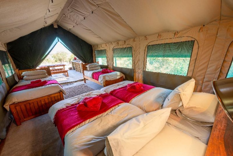 1 Bedroom Tent