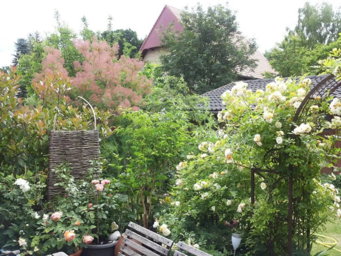 A Country Retreat