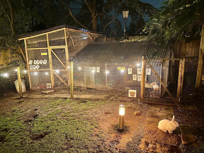 The Base Vegan Retreat