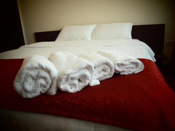 1 Bedroom Suite