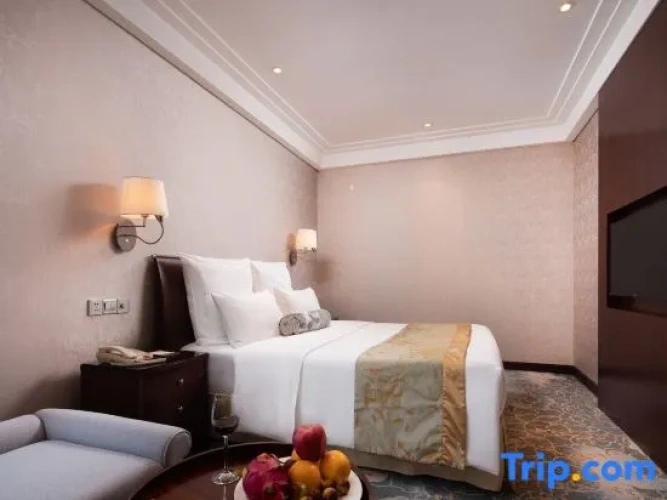 Comfort Double Suite