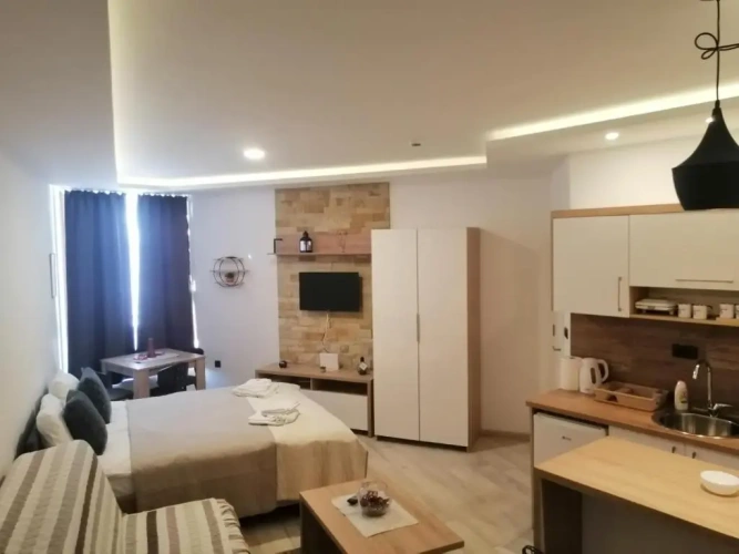 1 Bedroom Apartment