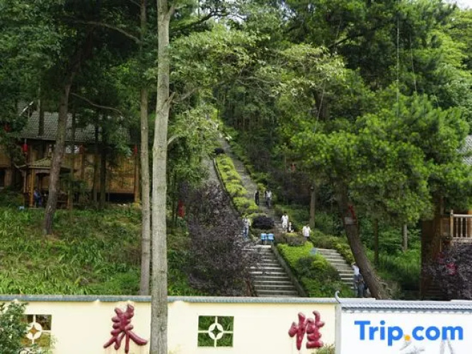 Longrun Forest Hotel
