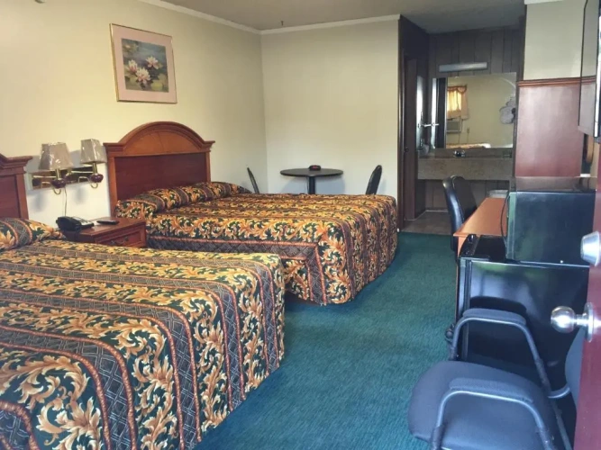 Standard Double room with pool view