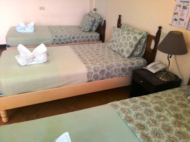 Standard Triple room with pool view