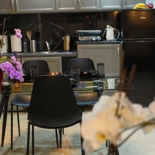 Deluxe Basement Suite