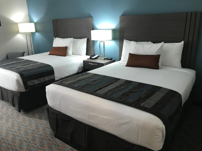 Guest rooms
