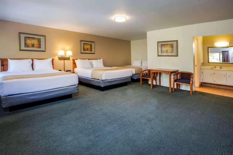 Guest rooms