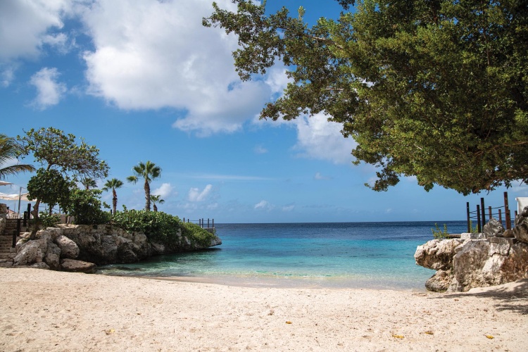 Dreams Curacao Resort Spa And Casino photo 29