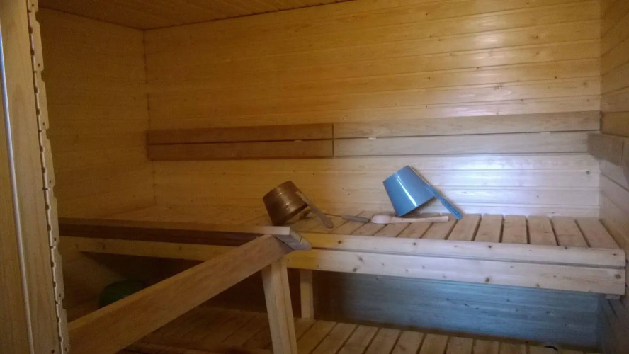 Koivukankare