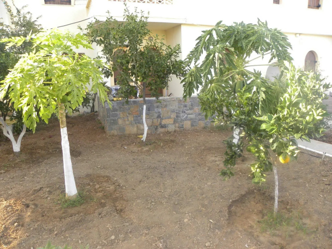 Villa Thalia