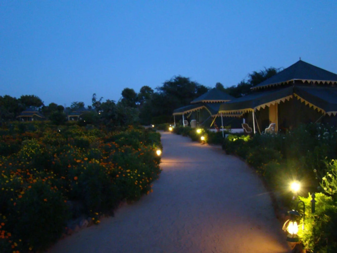 Orchard