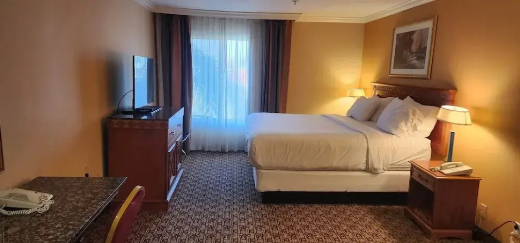 Hotel Xola