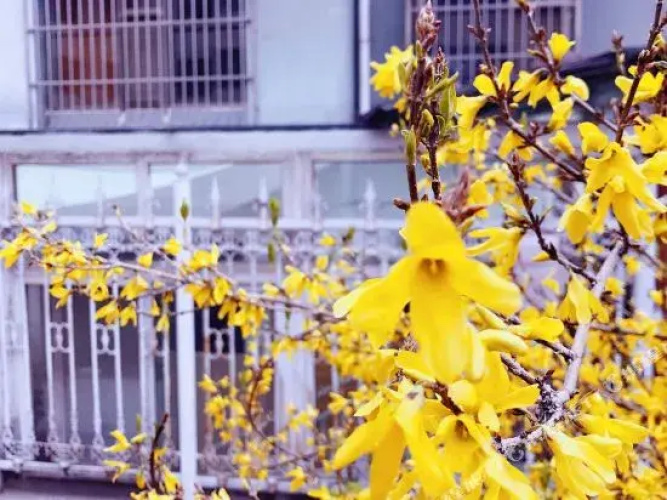 Haoyunke Apartment Hostel