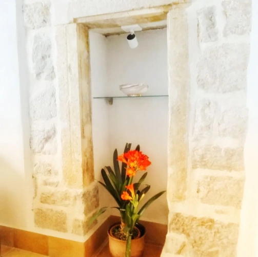 1 Bedroom Comfort Apartment