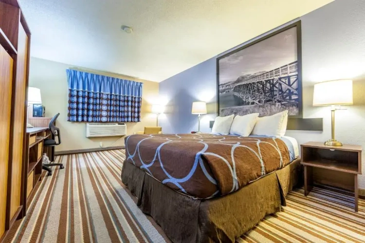 1 Bedroom Suite