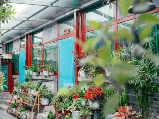 Shao's Courtyard Hostel