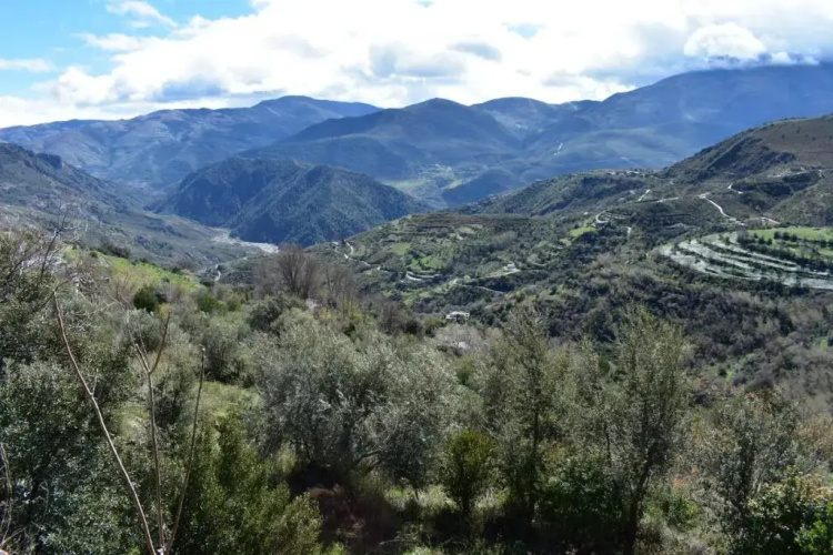 Dreams Alpujarra