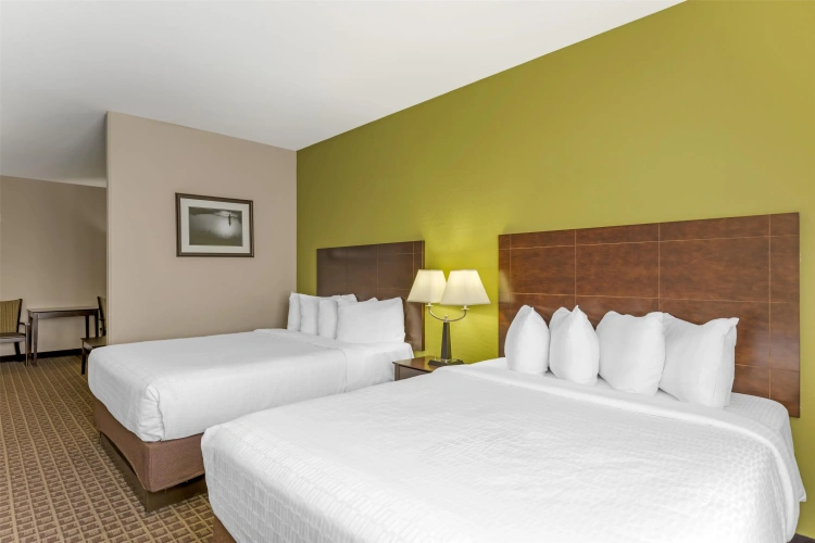 Quadruple Suite