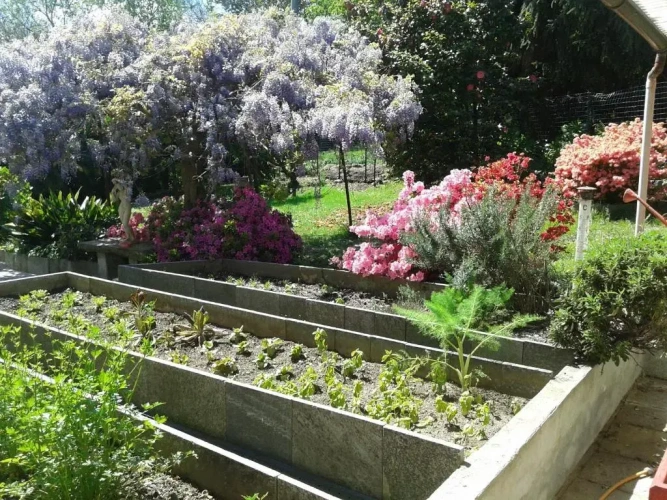 Standard Double room with garden view