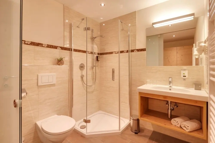 Standard Double room with balcony and with mountain view
