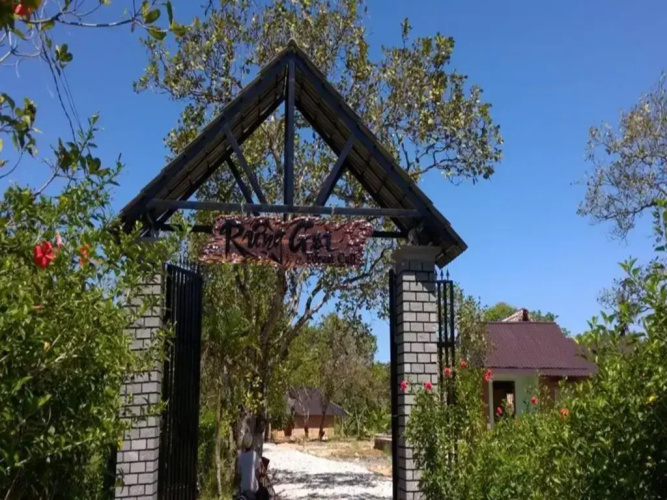 Forest Call Lodge