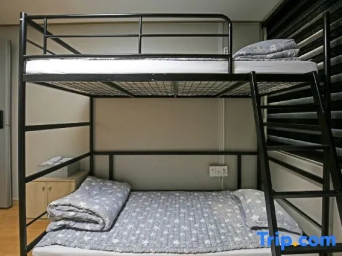 Standard Double Family room