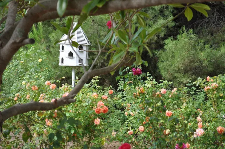 Belle Escapes Barossa Valley Lyndoch