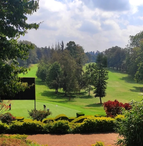 Deluxe Suite with balcony and with golf view