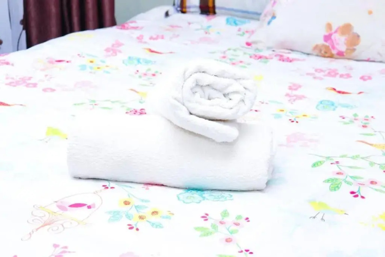 Adorable Homely Stay