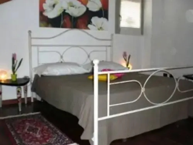 Abelia Holiday House