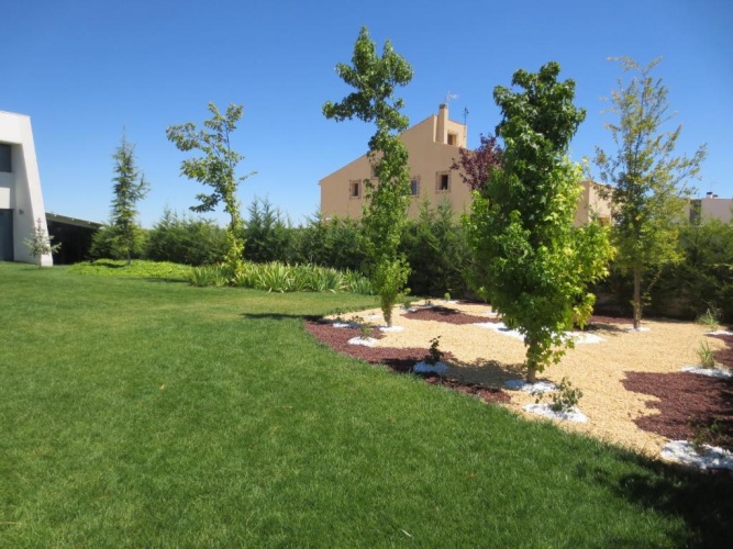 Deluxe Villa