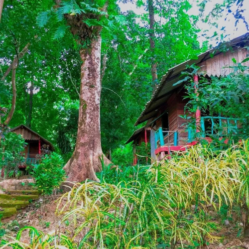 Sea Eagle Bungalow