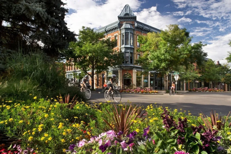 Lavender Suite Relaxed, Walkable Old Town Stay - Fort Collins, CO