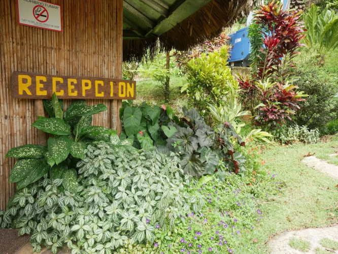 Villa Tavida Lodge