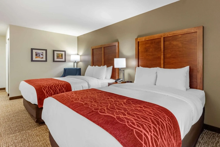 Standard Quadruple room