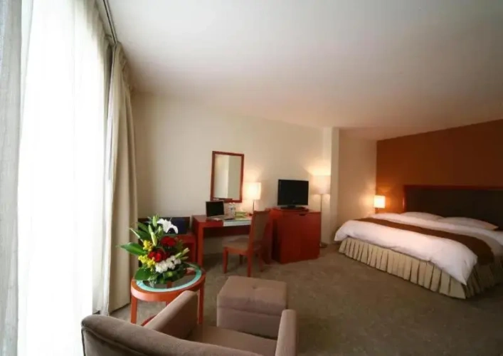 1 Bedroom Standard Double room
