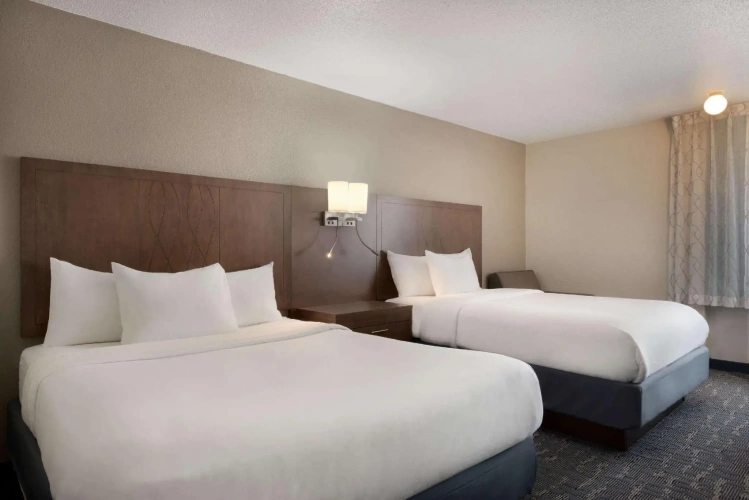 Quadruple Family Suite