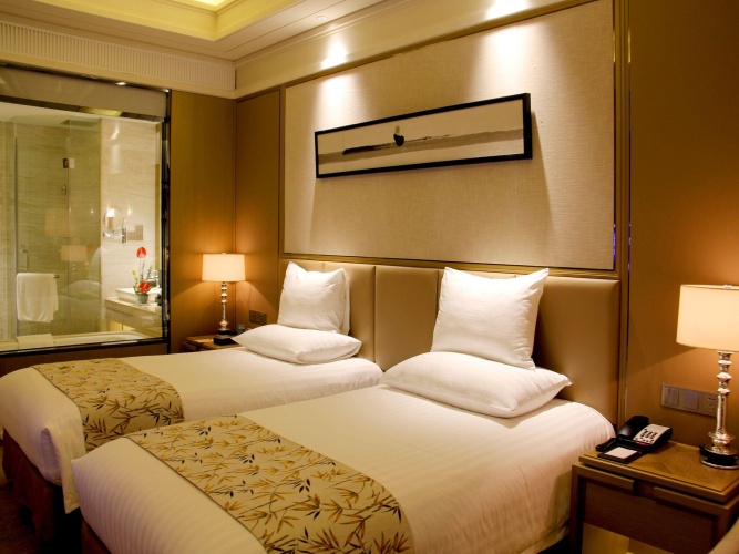 Deluxe Twin room with city view