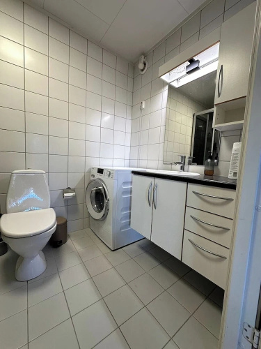 Aurora Borealis Apartment - Sleeps 3 - Parking