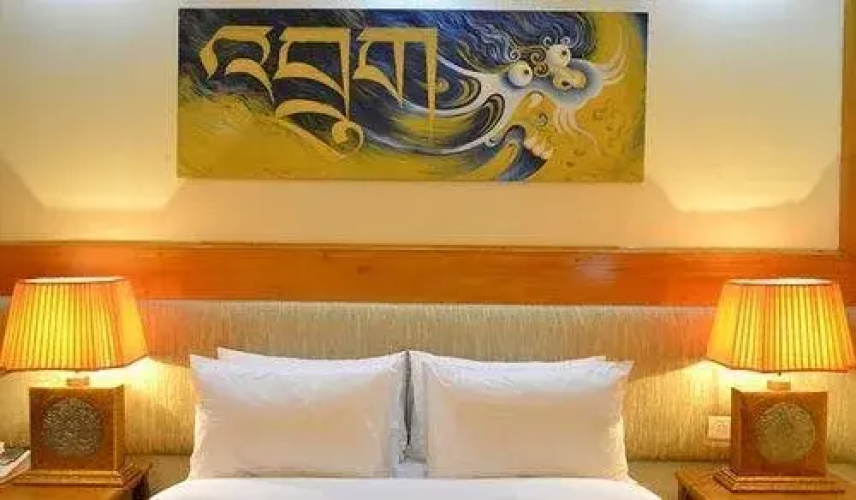 Hotel Druk
