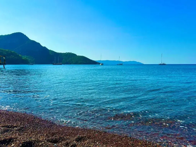 Falcon Crest