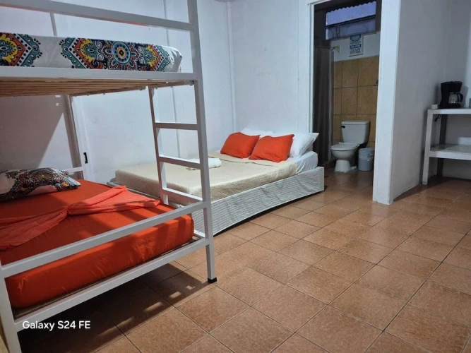 Bed in Dorm with garden view