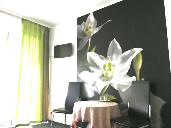 Hotel Schwanen