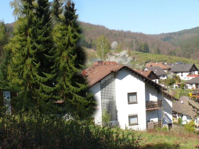 Standard Double room with balcony and with view