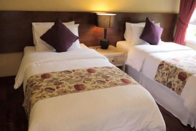 Standard Double room with view